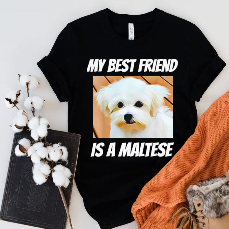 My Best Friend Is A Maltese Shirts